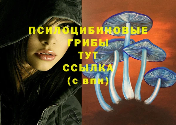 первитин Навашино