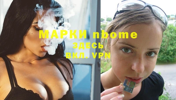твердый Надым