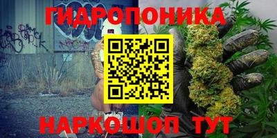 СК Волжск