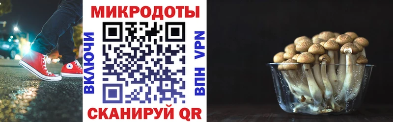Галлюциногенные грибы мухоморы как найти Кимовск