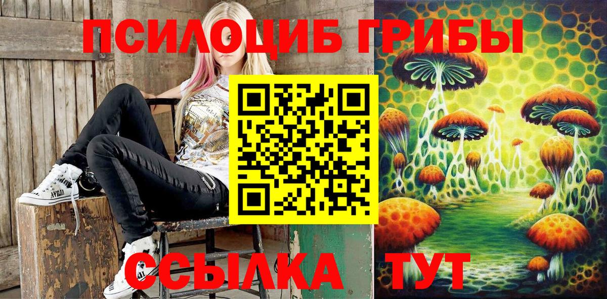 Псилоцибиновые грибы Psilocybine cubensis  Кимовск 