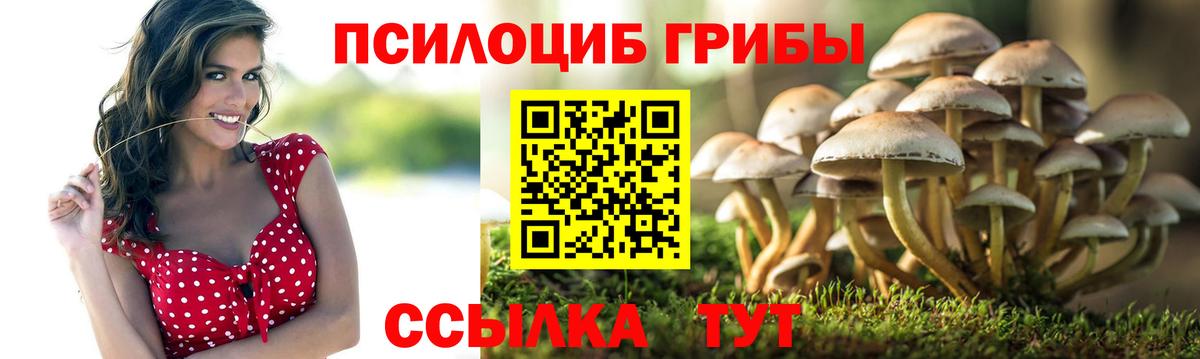 наркота  Галлюциногенные грибы мицелий  Галлюциногенные грибы мицелий  Вход с VPN  Кимовск 